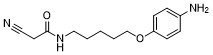 Acetamide, N-(5-(p-aminophenoxy)pentyl)-2-cyano- 101116-78-3